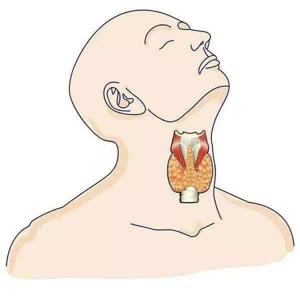 如果不注意平時的保護,很可能會導致咽喉病變,甚至咽喉癌.